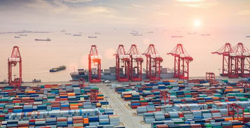 一切要從傳統貨代轉型經營跨境電商物流說起