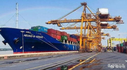 國內(nèi)十大國際貨運(yùn)代理公司概覽